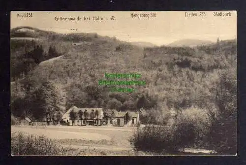 130728 AK Grünenwalde bei Halle (Westf.) um 1910 Knüll Hengeberg Freden Stadtpar