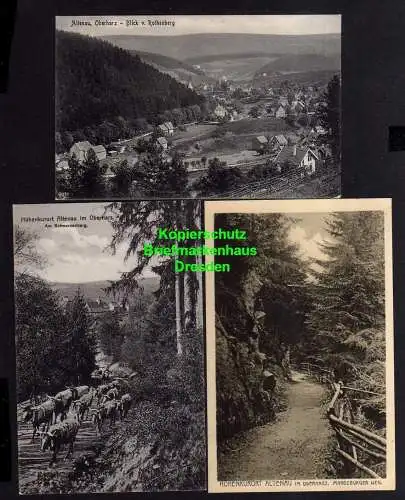 114731 3 AK Altenau Harz 1917 Blick von Rothenburg Magdeburger Weg 1918