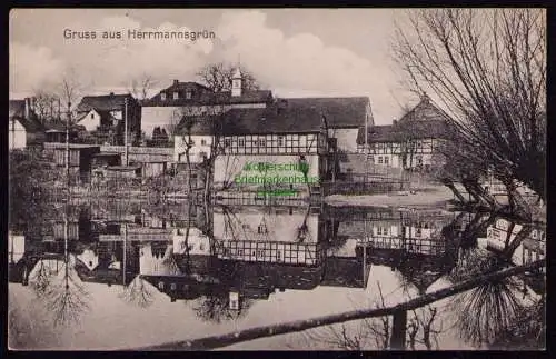 162354 AK Herrmannsgrün 1917 Panorama mit Dorfteich Fachwerkhäuser 