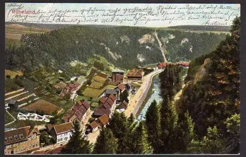 67346 AK Rübeland Braunlage 1905 Harz Zahnrad Bahn Blankenburg Rübeland - Tanne