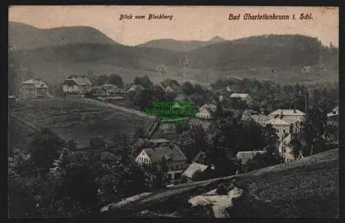 147908 Ansichtskarte Bad Charlottenbrunn i. Schlesien um 1910 Blick vom Blockberg