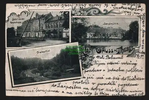 148113 AK Triebes 1902 Sandmühle Triebesthal Hauptstraße