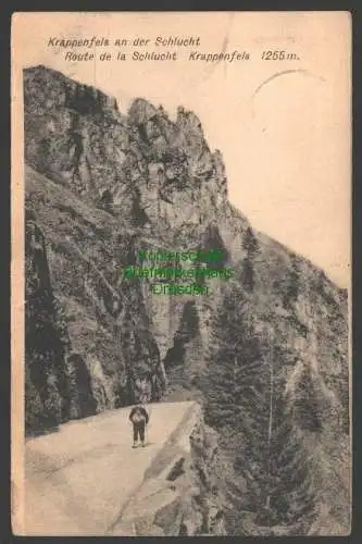 140968 Ansichtskarte Krappenfels an der Schlucht Altenberg Elsass 1911