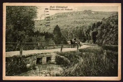 39637 AK Hessisch Oldendorf Der Hohenstein mit Blutbach Brücke 1920