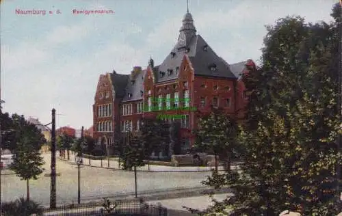 170387 AK Naumburg (Saale) Realgymnasium 1913