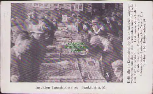 161109 AK Insekten-Tauschbörse zu Frankfurt a. M. um 1910