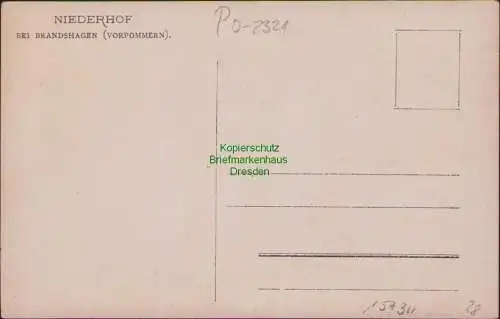 157311 AK Niederhof bei Brandshagen Vorpommern Fotokarte um 1920
