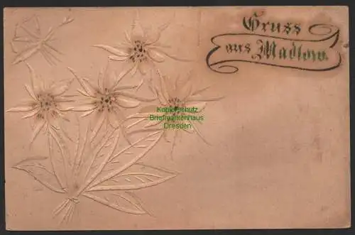 151845 AK Gruss aus Madlow um 1900 Modlej Cottbus Edelweiss aufgeritztes Papier