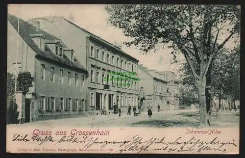 148674 AK Grossenhain 1900 Johannes Allee