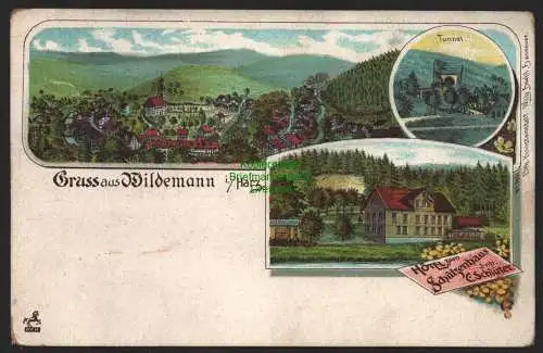 147586 Ansichtskarte Wildemann Oberharz Litho Hotel zum Schützenhaus C. Schlüter um 1900