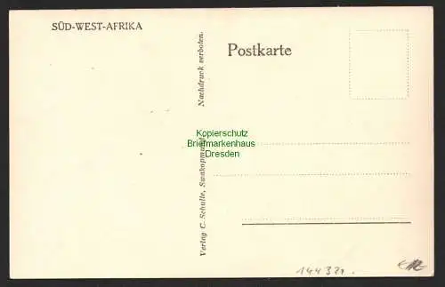 144321 AK Kolonien DSW Afrika Springböcke Strauße Wasser Sprinbucks ostiches