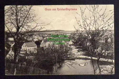 124138 AK Reinhardtsgrimma um 1910 Panorama Dorfteich