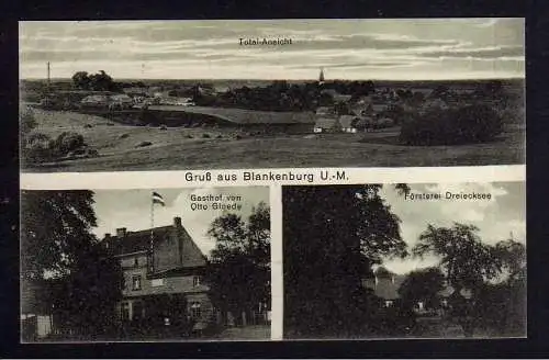 102042 Ansichtskarte Blankenburg Uckermark 1915 Gasthof Gloede Försterei Dreiecksee