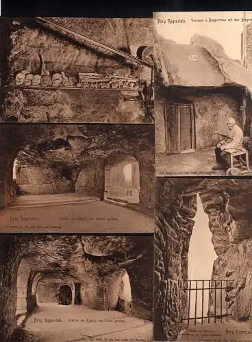 102056 11 AK Burg Regenstein bei Blankenburg Harz um 1900 Serie 48