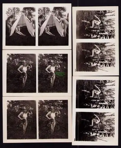 B19202 5 Stereo Fotos Akt Erotik Frauen Zelt Natur Birkenwald um 1925