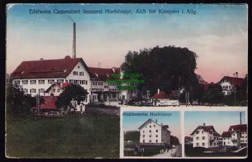 162372 AK Aich bei Kempten i. Allgäu Edelweiss Camenbert Sennerei Hoefelmayr