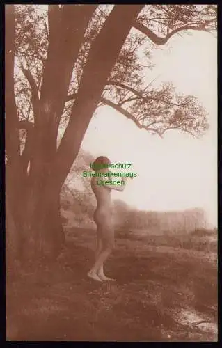 B19215 Foto Frau erotische Pose Verlag der Schönheit Dresden aus Serie 129 Wimme