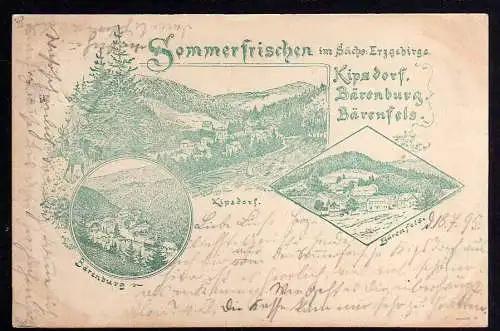 81664 AK Kipsdorf Bärenburg Bärenfels Vorläufer 1895