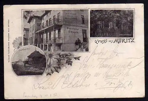 81328 AK Müritz 1898 Pensionat Waack Zollbeamtenhaus Hotel zum weissen Hirsch