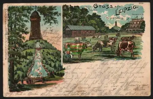 144016 Ansichtskarte Leipzig Alpenhütte Rosenthal Kaiserparl Rosenthalberg Turm 1905