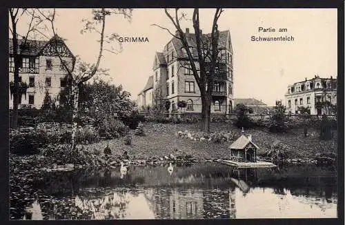 62112 AK Grimma Schwanenteich Schanenhaus 1910