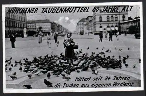 41108 Ansichtskarte München 1931 Münchner Taubenmutterl Tauben