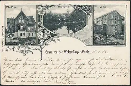 23072 Ansichtskarte Woltersburger Mühle Villa Voigts 1903 Oldenstadt bei Uelzen