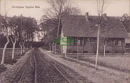 170155 AK Berlin Forsthaus Tegeler See um 1910