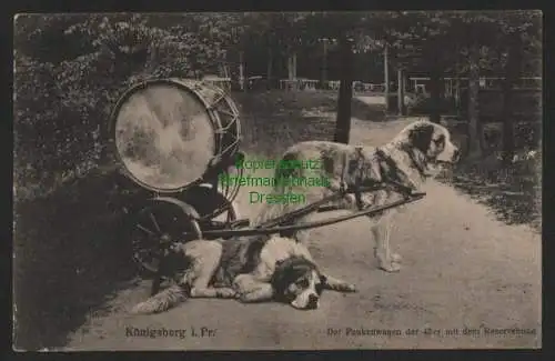 146409 Ansichtskarte Königsberg i. Pr. Der Paukenwagen der 43er mit dem Reservehund 1918