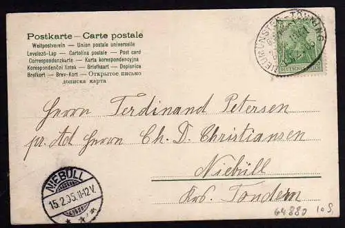 64880 Ansichtskarte Nordhastedt Waldpartie 1905 Bahnpost Neumünste