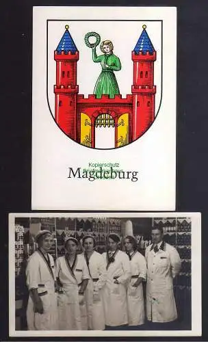 131520 6 Ansichtskarte Magdeburg Stadtpark 1908 Spendenkarte Wappen Konsum Personal