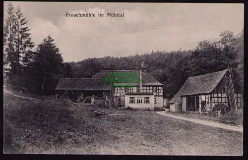 172420 Ansichtskarte  Eisenberg 1921 Froschmühle im Mühltal