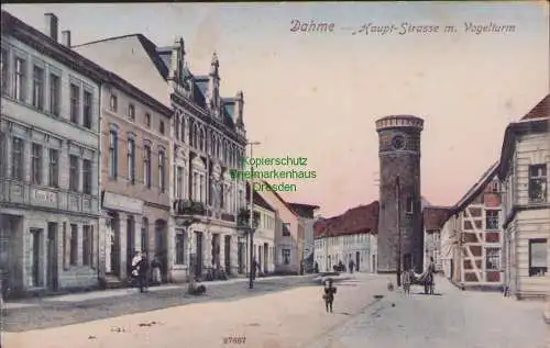 170355 Ansichtskarte Dahme Mark 1912 Hauptstraße mit Vogelturm Kaiser´s Kaffee Geschäft