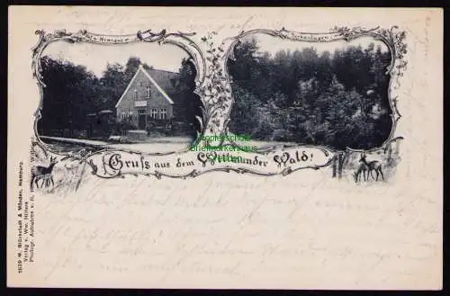 165688 AK Wittmunder Wald 1899 Hof von Hannover Parkanlagen Rehe