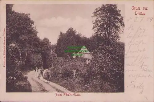 165056 Ansichtskarte Trittau Beim Förster-Haus 1904 Verlag von Heinrich Siemers Trittau