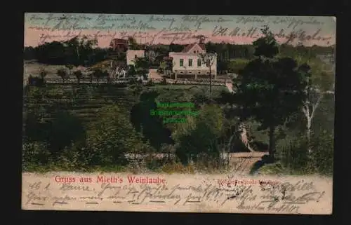 136221 Ansichtskarte Kötzschenbroda - Lindenau 1905 Mieth´s Weinlaube