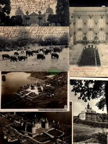 123072 6 AK Moritzburg Wildschweine 1911 Jagdschloss Hahn Luftbild 3781 13038