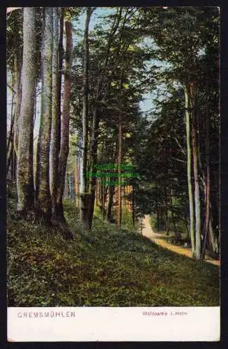 173876 Ansichtskarte Malente Gremsmühlen Waldpartie i. Holm um 1910