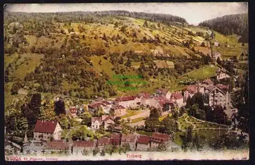 173786 Ansichtskarte Triberg im Schwarzwald um 1920 Panorama