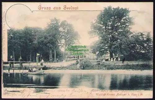 173639 Ansichtskarte Plau Meckl. 1901 Gruss aus Seelust