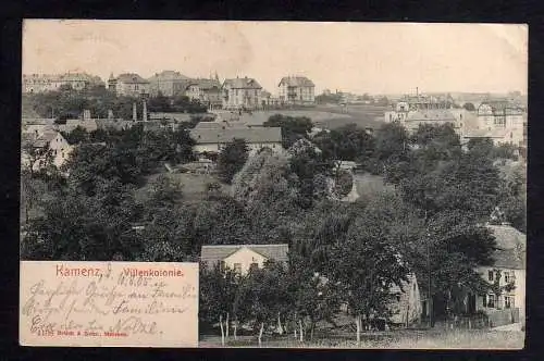 100549 AK Kamenz 1905 Villenkolonie