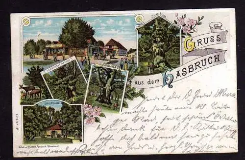 102099 AK Litho Hasbruch Eichen- Hainbuchenwald Kr. Oldenburg Jagdhütte Gasthof