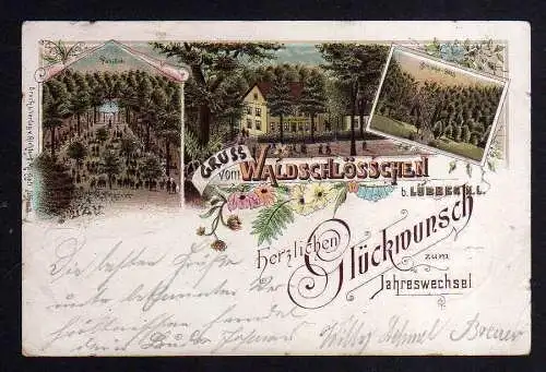 102995 AK Lübben Spreewald Litho 1899 gasthaus Waldschlösschen Schipka pass