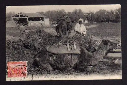 103992 AK Tunis Tunesien 1909 Schnes et Types Dromedar