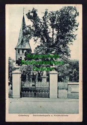 119531 AK Oldenburg Oldb. Gertrudenkapelle u. Kirchhofslinde 1926