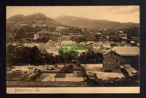 123585 AK Blankenburg i. Th. Panorama um 1910