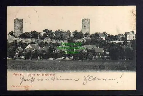 130832 AK Kohren 1904 Ruine mit Baumgarten Verlag Brück & Sohn Nr. 1951