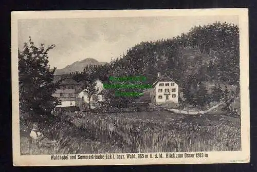 131191 AK Eck Bayerische Wald Blick zum Osser Waldhotel 1928