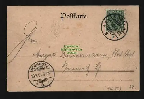 136239 AK Döbeln Partie an der Mulde 1901