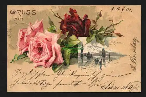 138067 AK Künstlerkarte Rosen C. Klein Windmühle Mole 1900
